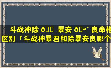 斗战神除 🐠 暴安 🪴 良命格区别「斗战神暴君和除暴安良哪个好」